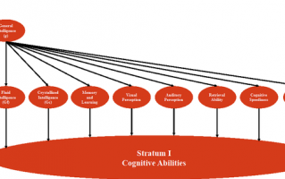 What qualities make someone considered intelligent? Is it problem-solving skills or knowledge?