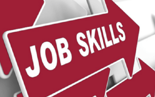 What are the essential skills for thriving in a rapidly changing job market?