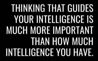 Is having a large vocabulary a sign of intelligence or knowledge?