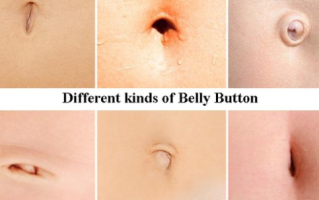 What are the things we (probably) didn't know about our belly button?