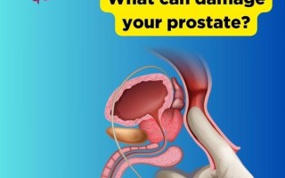 What should I know about the prostate?