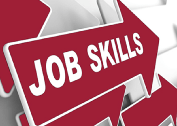 What are the essential skills for thriving in a rapidly changing job market?-第1张图片