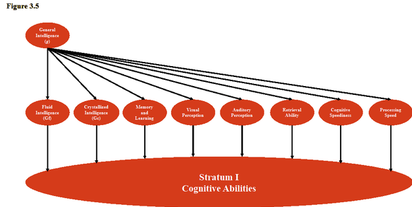 What qualities make someone considered intelligent? Is it problem-solving skills or knowledge?-第1张图片