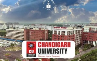 What are Chandigarh University's online courses like? Are they worth pursuing?