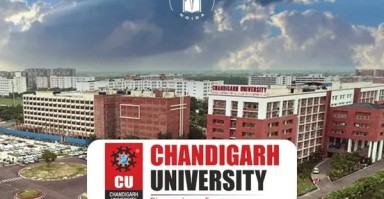 What are Chandigarh University's online courses like? Are they worth pursuing?